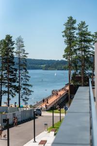 a view of a beach with a pier and the water at Apartmán Molo Lipno in Lipno nad Vltavou