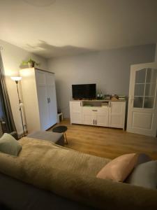Televízia a/alebo spoločenská miestnosť v ubytovaní Apartament Czytelnia - parking gratis