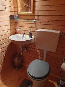 bagno con servizi igienici e lavandino di Family house MIRAJ a Krška Vas