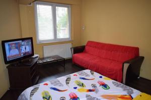 a living room with a red couch and a tv at Apartament Transilvaniei RHBM in Baia Mare