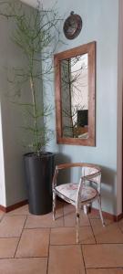 a chair and a mirror and a potted plant at La Casa nel Borgo in San Felice del Benaco