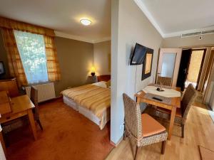 Televízia a/alebo spoločenská miestnosť v ubytovaní Luxus Golf Apartment