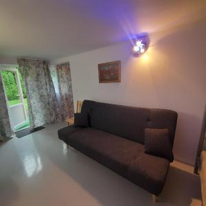 un soggiorno con divano e luce di Domek Muchorek 1km od Energylandii a Zator