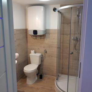 un bagno con wc e doccia di Domek Muchorek 1km od Energylandii a Zator