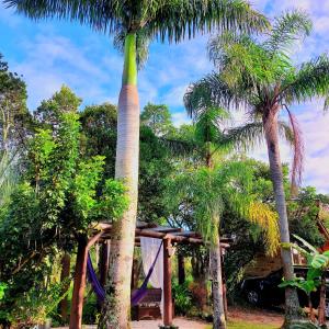 una palmera alta con una montaña rusa en Pousada Raízes da Guarda en Guarda do Embaú