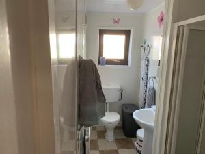 a bathroom with a shower and a toilet and a sink at Seventy Eight in Wexford