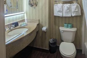 a bathroom with a toilet and a sink and a mirror at Quality Inn & Suites Northampton - Amherst in Northampton