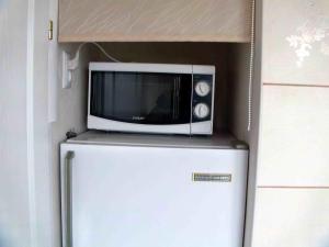 eine Mikrowelle auf einem Kühlschrank in der Unterkunft Two-bedroom apartment in Maladsetschna