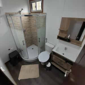 een badkamer met een toilet, een douche en een wastafel bij La gran sirena in Cuchilla Alta