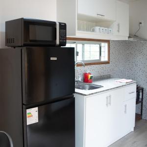 een keuken met een zwarte koelkast en een magnetron bij La gran sirena in Cuchilla Alta