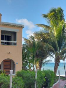 a house next to the beach with palm trees at Northshore Seaside Suites in Saint Johnʼs +55 photos