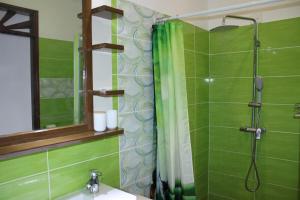 ein grünes Bad mit einer Dusche und einem Waschbecken in der Unterkunft Villa Émeraude - Piscine privée sans vis à vis in Rémire-Camp