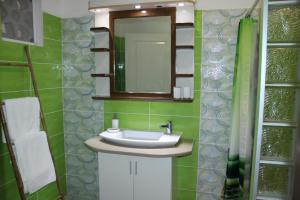 ein Bad mit einem Waschbecken und einem Spiegel in der Unterkunft Villa Émeraude - Piscine privée sans vis à vis in Rémire-Camp