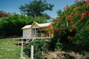 una casa con porche y un árbol con flores rojas en Native Lodge Brisas del Sur, en Providencia