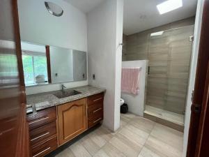 ein Bad mit einem Waschbecken und einer Dusche in der Unterkunft Casa Serena - Casa de Huéspedes in Guadalajara