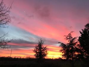 a colorful sunset with two trees in the foreground at Escapade dans la campagne toulousaine in Beaumont-sur-Lèze