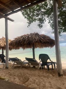 un grupo de sillas y sombrillas en una playa en Posada Shekinah Barú, en Playa Blanca