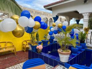 LEO VILLA في Wallen: مجموعة من البالونات الزرقاء والبيضاء والنباتات الفخارية
