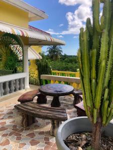 a cactus on a patio with a table and benches at LEO VILLA in Wallen