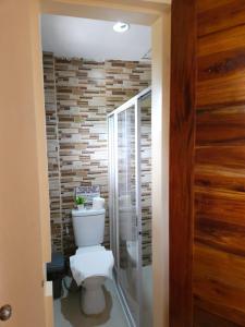 a bathroom with a toilet and a glass shower at Betsy's Bed and Breakfast Moalboal in Moalboal