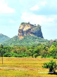 a large rock in the middle of a field at Panoramic Royal Villa in Sigiriya