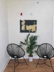 duas cadeiras pretas num quarto com uma planta em The Zen Home near Temple U & Drexel FREE STREET PARKING em Filadélfia