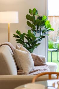 uma sala de estar com um sofá e uma planta em Gorgeous Getaway on Gloucester St- 1 Bed 1 Bath em Christchurch