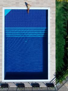 un pájaro volando sobre una gran piscina azul en Pousada Jardins - Mar Grande en Vera Cruz de Itaparica