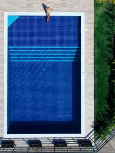 un oiseau survolant une grande piscine bleue dans l'établissement Pousada Jardins - Mar Grande, à Vera Cruz de Itaparica