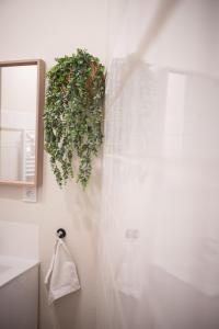 baño con ducha con una planta en la pared en Sapio, en Angers