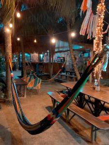 Φωτογραφία από το άλμπουμ του Kin Hostal and Camping σε Holbox Island