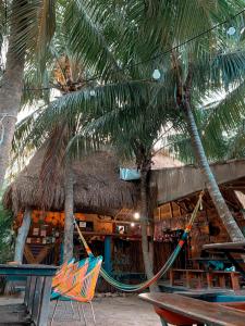 Kin Hostal and Camping في جزيرة هول بوكس: مجموعة من الكراسي وأشجار النخيل على الشاطئ