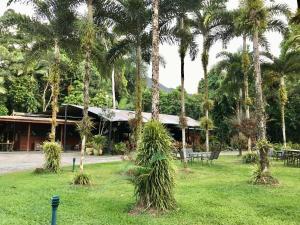 a resort with palm trees in front of a building at Daintree Siesta in Diwan