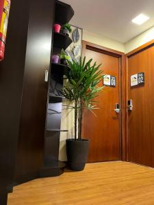 uma planta em vasos sentada num corredor ao lado de uma porta em Departamento de 2 Habitaciones, full amoblada con todo para que disfrutes de tu Estancia em Cuenca