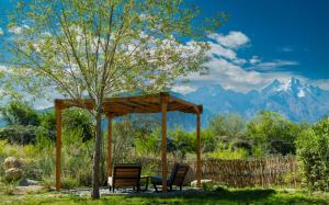 a gazebo with two chairs and a tree and mountains at Lchang Nang Retreat-THE HOUSE OF TREES in Nubra