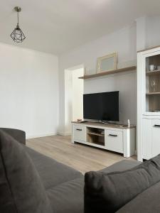 a living room with a couch and a television at Fortress Apartament in Oradea
