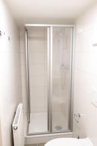 uma cabina de duche na casa de banho com WC em City Apartment Dornbirn, Hongkong 1 em Dornbirn