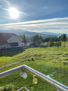 vistas a un campo de hierba con 2 botellas de vidrio en Lipnohaus, en Horní Planá