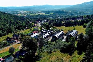 uma vista aérea de uma aldeia com casas numa colina em Skalnica em Karpacz