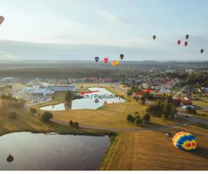 un groupe de montgolfières survolant un parc dans l'établissement Resort Stories Išskirtiniai 7 vietų apartamentai Birštone, à Birštonas