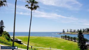 - une vue sur l'océan depuis un parc planté de palmiers dans l'établissement Tehidy Townhouse, à Kiama