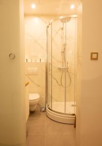 y baño con ducha y aseo. en Stay & Heal Apartman, en Rogaška Slatina