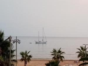 マリーナ・ディ・ラグーザにあるMolo di Levante - Rent Apartmentのヤシの木とビーチのある海のボート