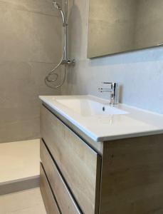 a bathroom with a sink and a shower at La maison de Mounette in LʼIsle-dʼAbeau