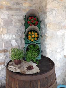 un estante verde con flores en la parte superior de un barril en Agriturismo Dagai en Sospirolo