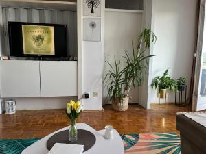 Apartment Paun في بلغراد: غرفة معيشة مع تلفزيون وورد على طاولة