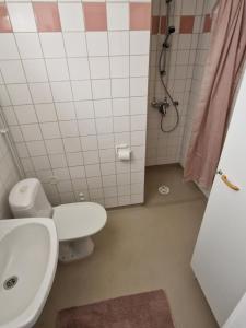 Humppilantie في Jokioinen: حمام مع مرحاض ومغسلة ودش
