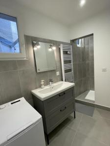 ein Bad mit einem Waschbecken, einem Spiegel und einer Dusche in der Unterkunft Sydel2 in Paris