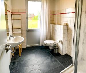 baño con aseo y lavabo y ventana en Ferienhaus Wiesengeflüster S1 - mit Sauna, Kamin und Workation an der Müritz en Marienfelde