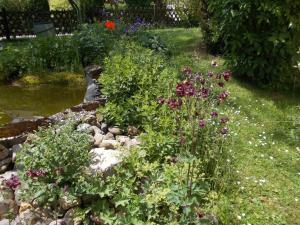 a garden with flowers and rocks next to a pond at Haus Wiesengrund in Gammertingen